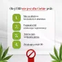 Olej CBD 14% Canna Harmony - 10% CBD + 2% CBDA + 2% CBG Natural Plus 1400mg 10ml - 7